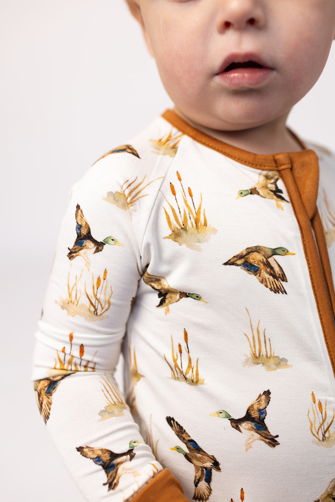 Ducks Print