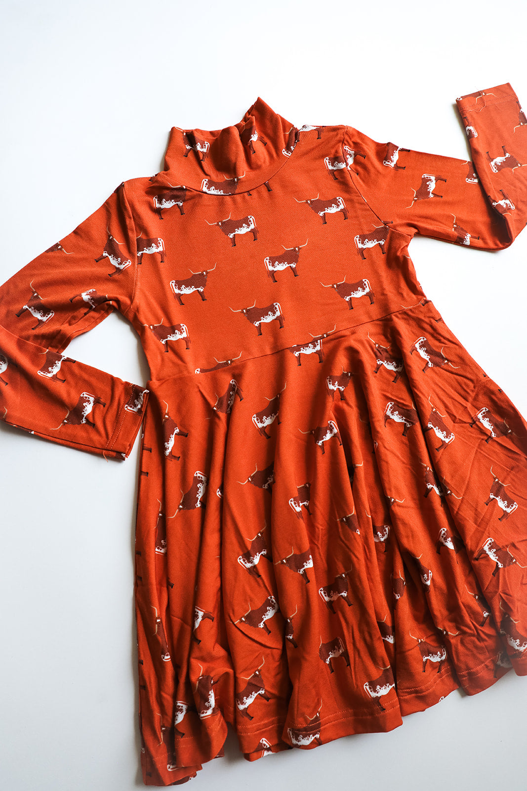 Longhorn Bamboo Turtleneck Twirl Dress