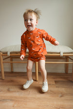 Load image into Gallery viewer, Longhorn Bamboo Sweatshirt Set - Top &amp; Bottom
