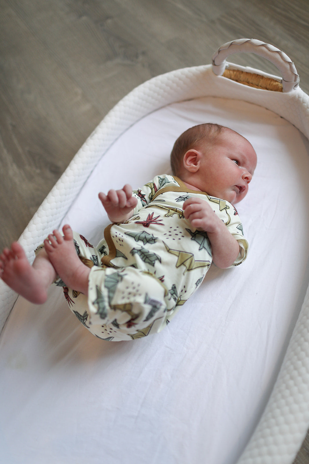 Dino Bamboo Kimono Onesie with Snaps