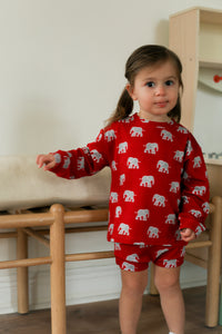 Elephant Bamboo Sweatshirt Set - Top & Bottom